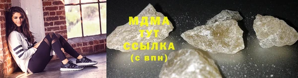 дживик Надым