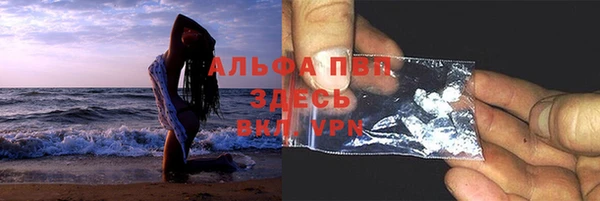 дживик Надым