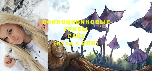 ПСИЛОЦИБИНОВЫЕ ГРИБЫ Нефтегорск