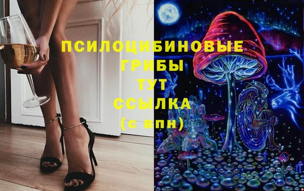 СК Нея