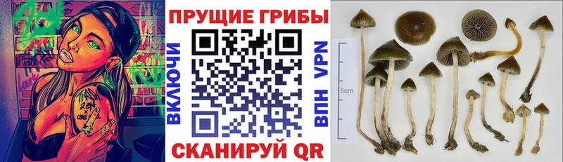 Галлюциногенные грибы ЛСД  где найти   Ревда 