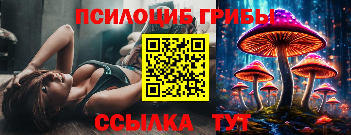 Ревда  Галлюциногенные грибы прущие грибы  Вход с VPN 
