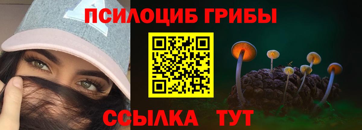 Alpha PVP СК кристаллы  Где купить наркотики?  Канабис  Ревда  МАРИХУАНА  МЕФ кристаллы  ГАШ  Cocaine 